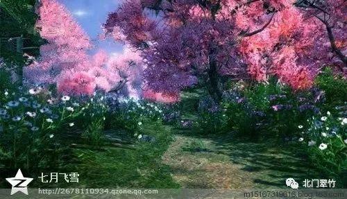 如何区分偏执型精神分裂症和偏执狂游戏画面