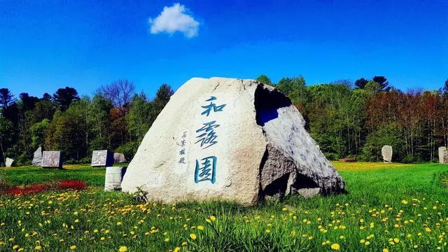 全民烧脑3去广告版