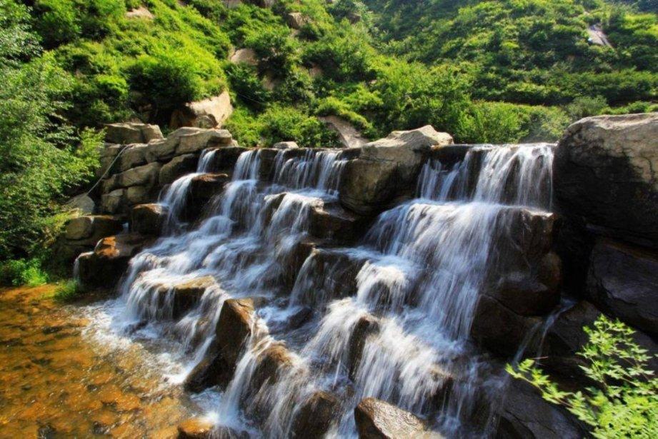 植物大战僵尸3